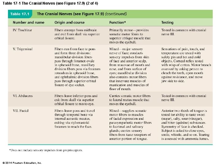 Table 17 -1 The Cranial Nerves (see Figure 17. 9) (2 of 4) ©
