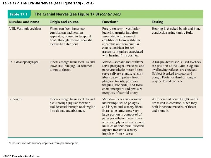 Table 17 -1 The Cranial Nerves (see Figure 17. 9) (3 of 4) ©