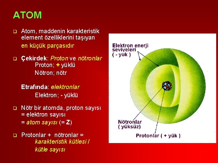 ATOM q Atom, maddenin karakteristik element özelliklerini taşıyan en küçük parçasıdır q Çekirdek: Proton