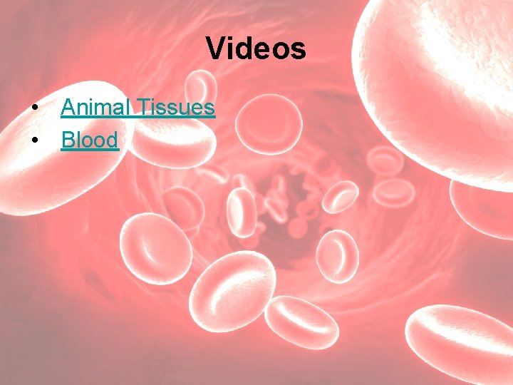 Videos • Animal Tissues • Blood 