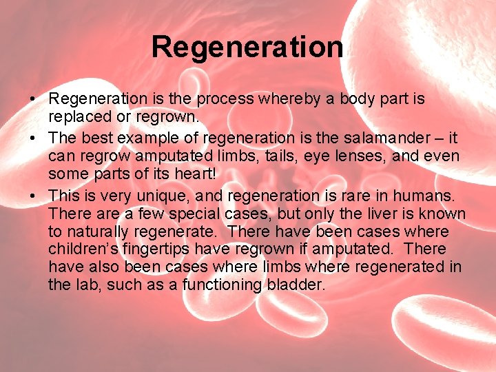 Regeneration • Regeneration is the process whereby a body part is replaced or regrown.