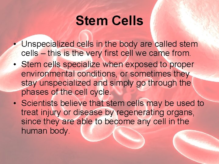 Stem Cells • Unspecialized cells in the body are called stem cells – this