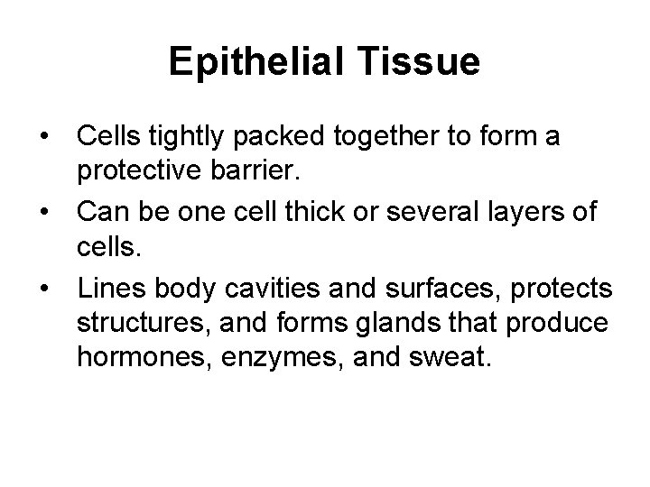 Epithelial Tissue • Cells tightly packed together to form a protective barrier. • Can