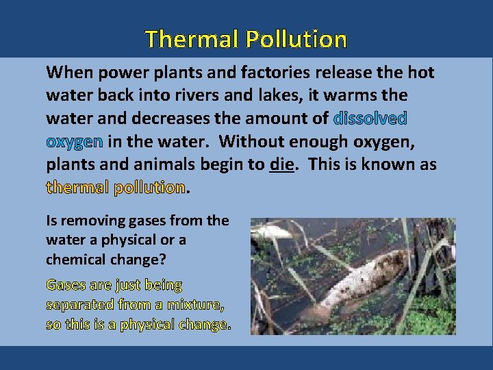 Thermal Pollution When power plants and factories release the hot water back into rivers