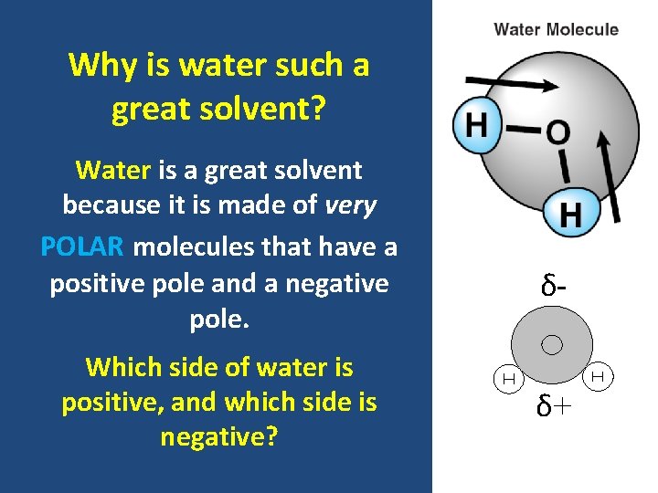 Why is water such a great solvent? Water is a great solvent because it