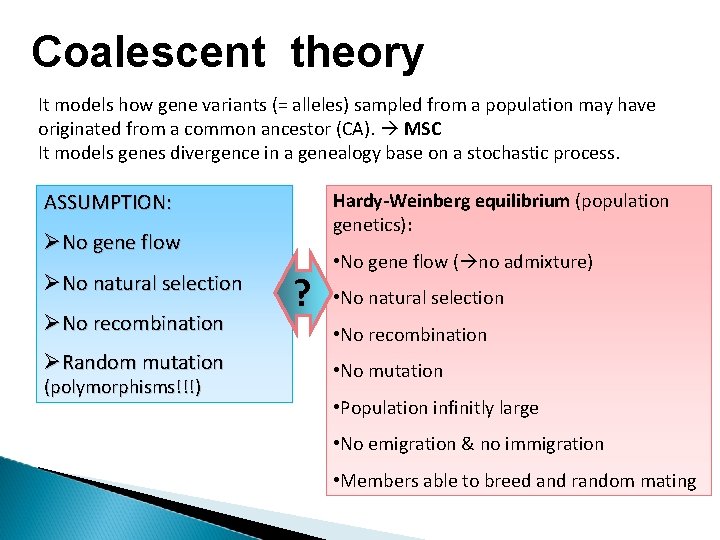 Coalescent theory It models how gene variants (= alleles) sampled from a population may