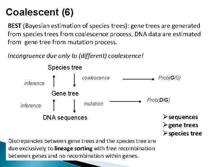 Coalescent (6) BEST (Bayesian estimation of species trees): gene trees are generated from species