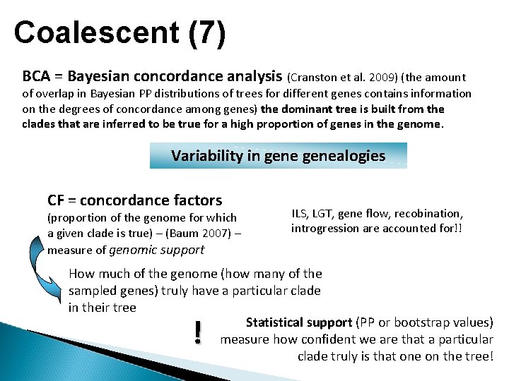 Coalescent (7) BCA = Bayesian concordance analysis (Cranston et al. 2009) (the amount of