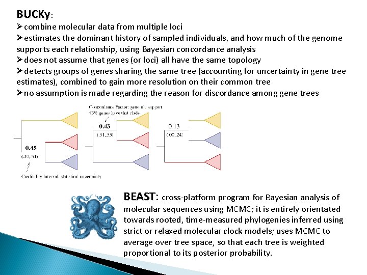 BUCKy: combine molecular data from multiple loci estimates the dominant history of sampled individuals,
