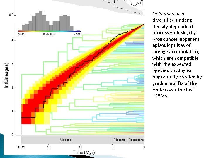 Liolaemus have diversified under a density-dependent process with slightly pronounced apparent episodic pulses of