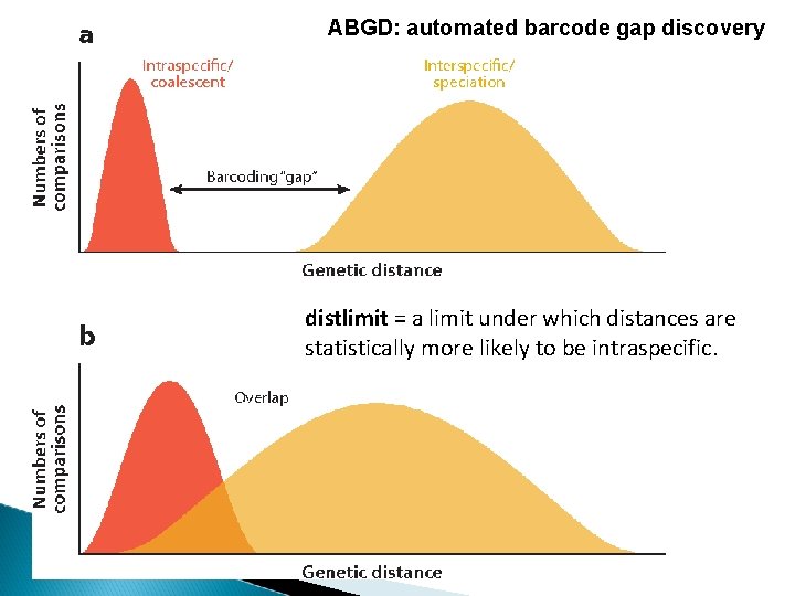 ABGD: automated barcode gap discovery distlimit = a limit under which distances are statistically