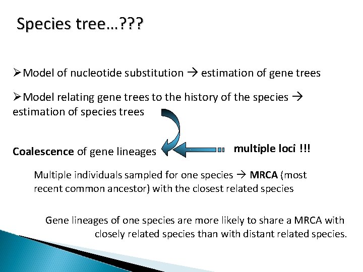 Species tree…? ? ? Model of nucleotide substitution estimation of gene trees Model relating