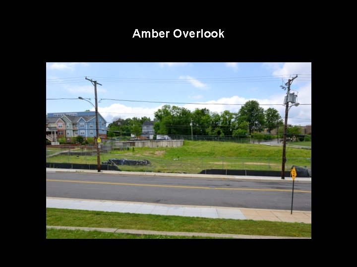 Amber Overlook 