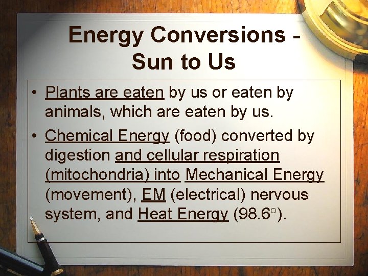 Energy Conversions Sun to Us • Plants are eaten by us or eaten by