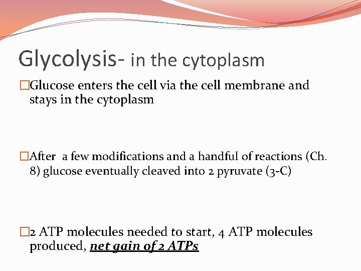 Glycolysis- in the cytoplasm �Glucose enters the cell via the cell membrane and stays
