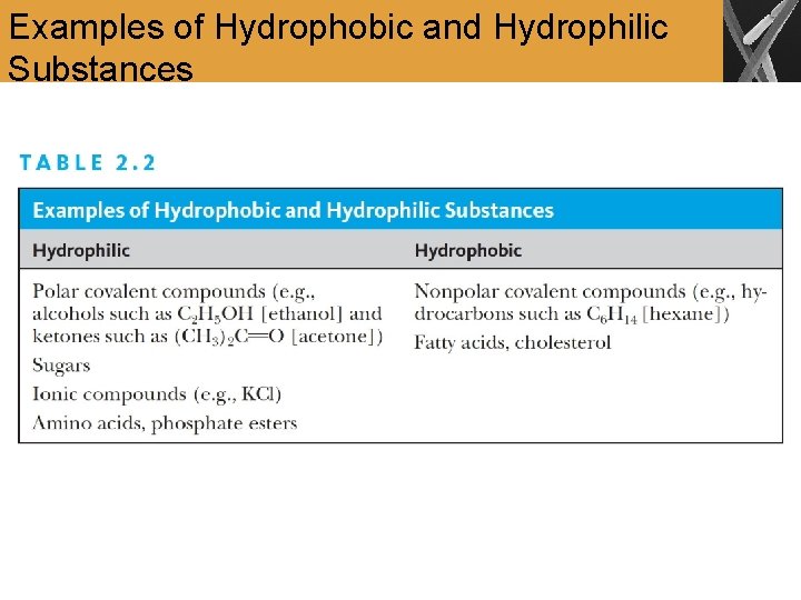 Examples of Hydrophobic and Hydrophilic Substances 