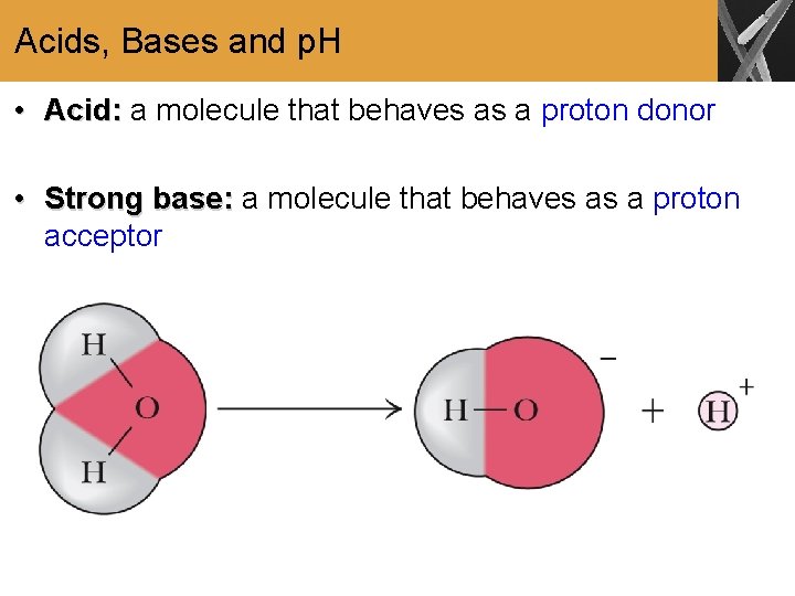Acids, Bases and p. H • Acid: a molecule that behaves as a proton