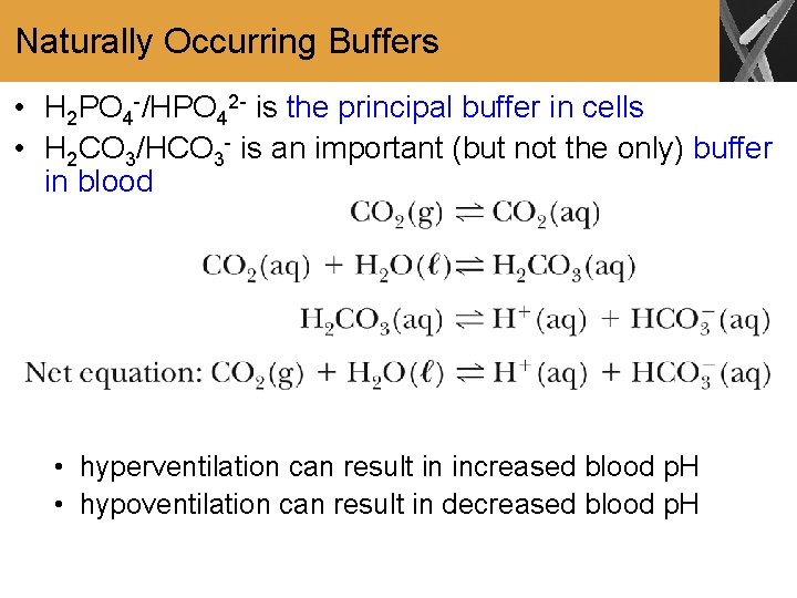 Naturally Occurring Buffers • H 2 PO 4 -/HPO 42 - is the principal