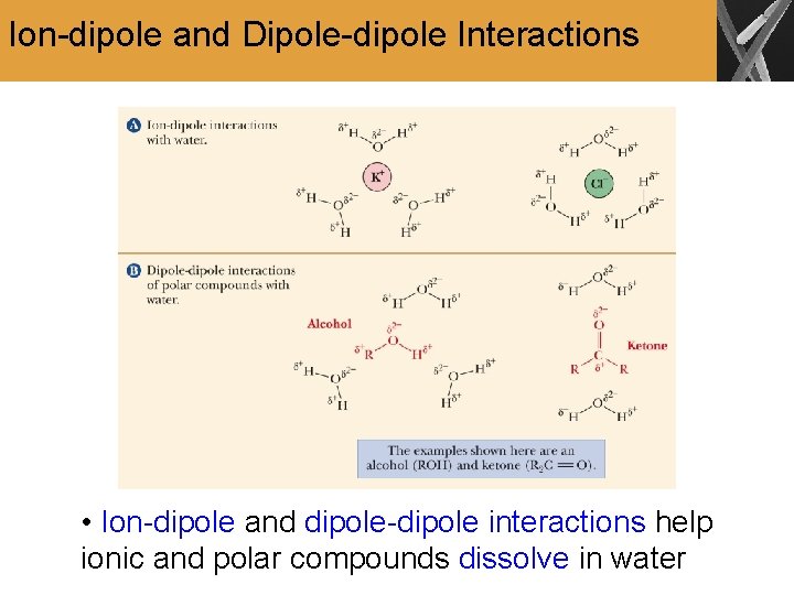 Ion-dipole and Dipole-dipole Interactions • Ion-dipole and dipole-dipole interactions help ionic and polar compounds