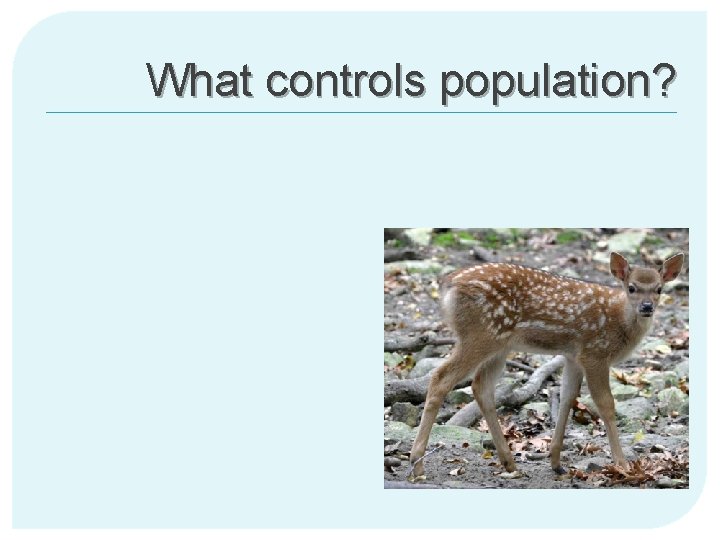 What controls population? 