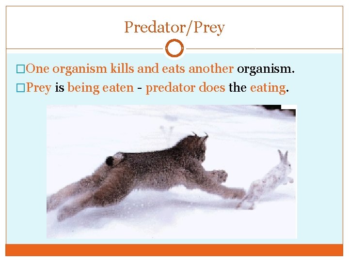 Predator/Prey �One organism kills and eats another organism. �Prey is being eaten - predator