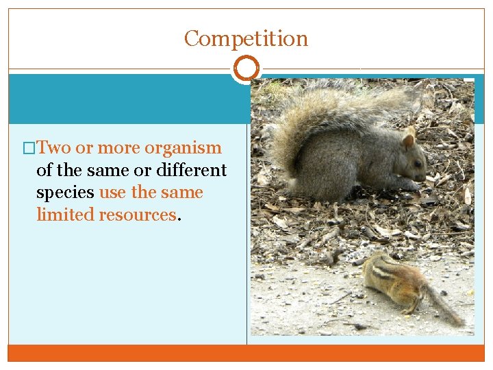 Competition �Two or more organism of the same or different species use the same