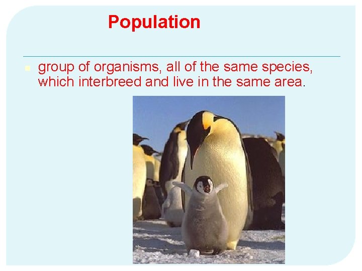 Population n group of organisms, all of the same species, which interbreed and live