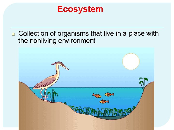 Ecosystem n Collection of organisms that live in a place with the nonliving environment