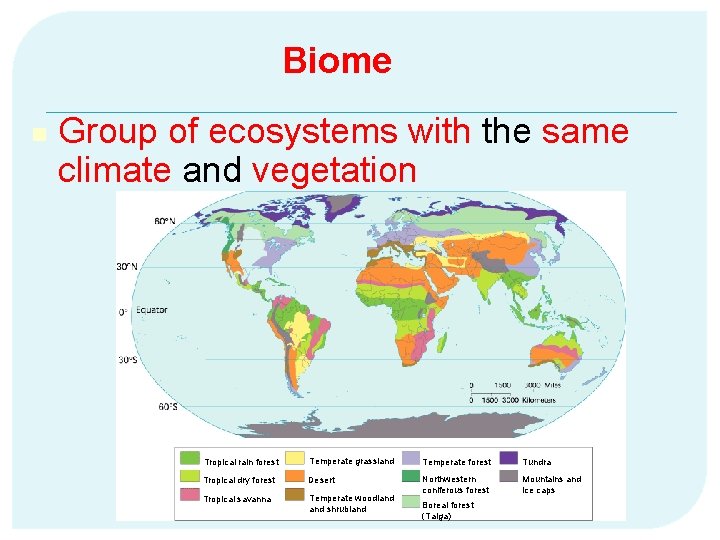 Biome n Group of ecosystems with the same climate and vegetation Tropical rain forest