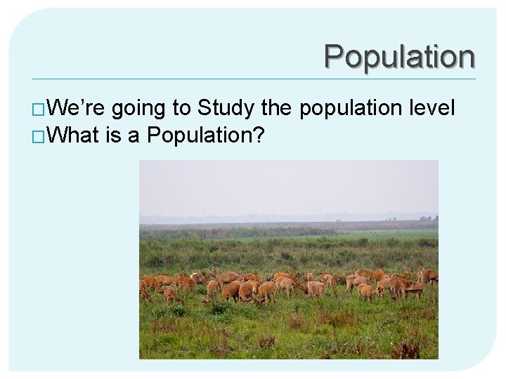 Population �We’re going to Study the population level �What is a Population? 