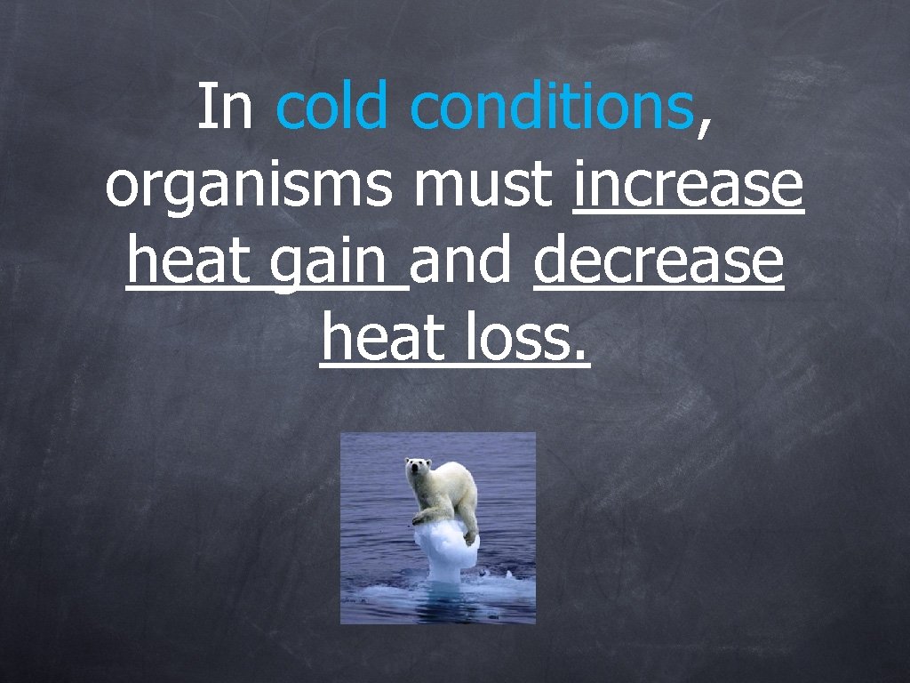 In cold conditions, organisms must increase heat gain and decrease heat loss. 