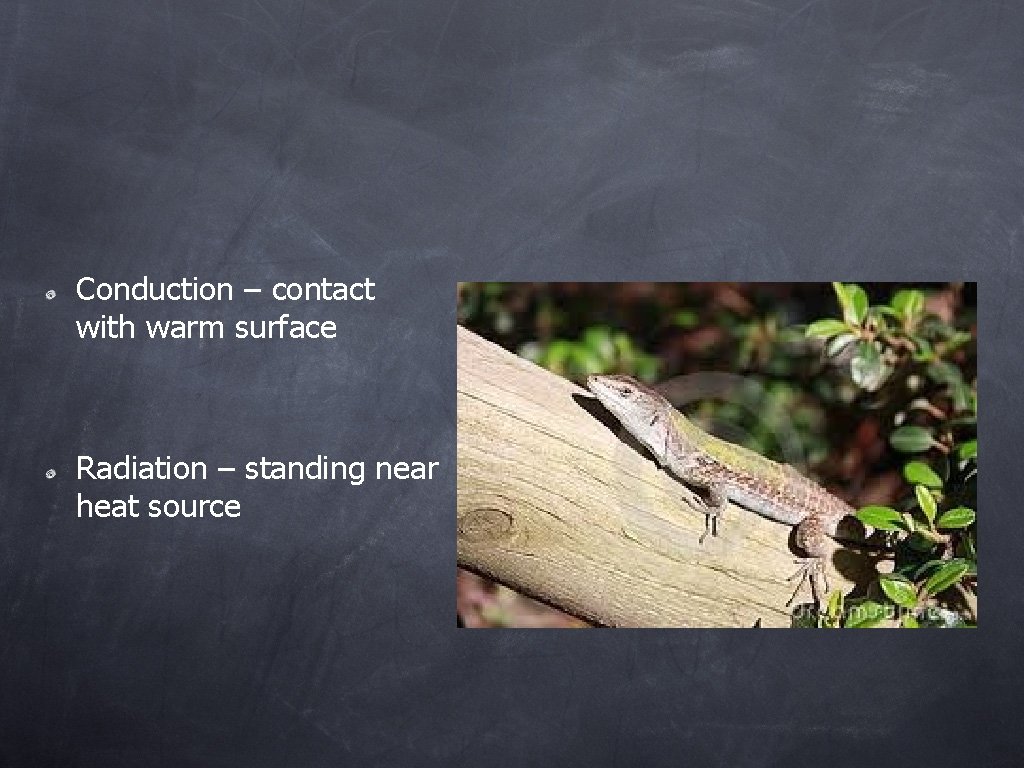 Conduction – contact with warm surface Radiation – standing near heat source 