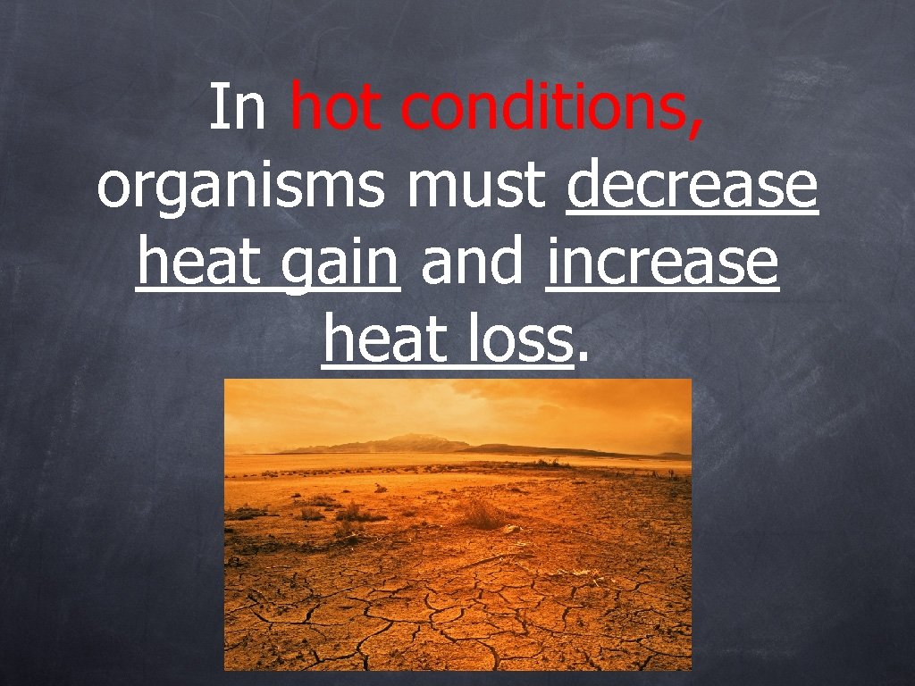 In hot conditions, organisms must decrease heat gain and increase heat loss. 