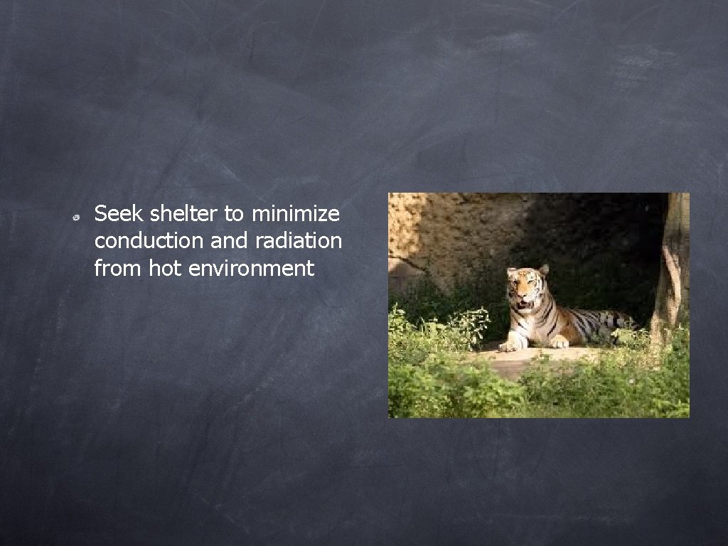 Seek shelter to minimize conduction and radiation from hot environment 