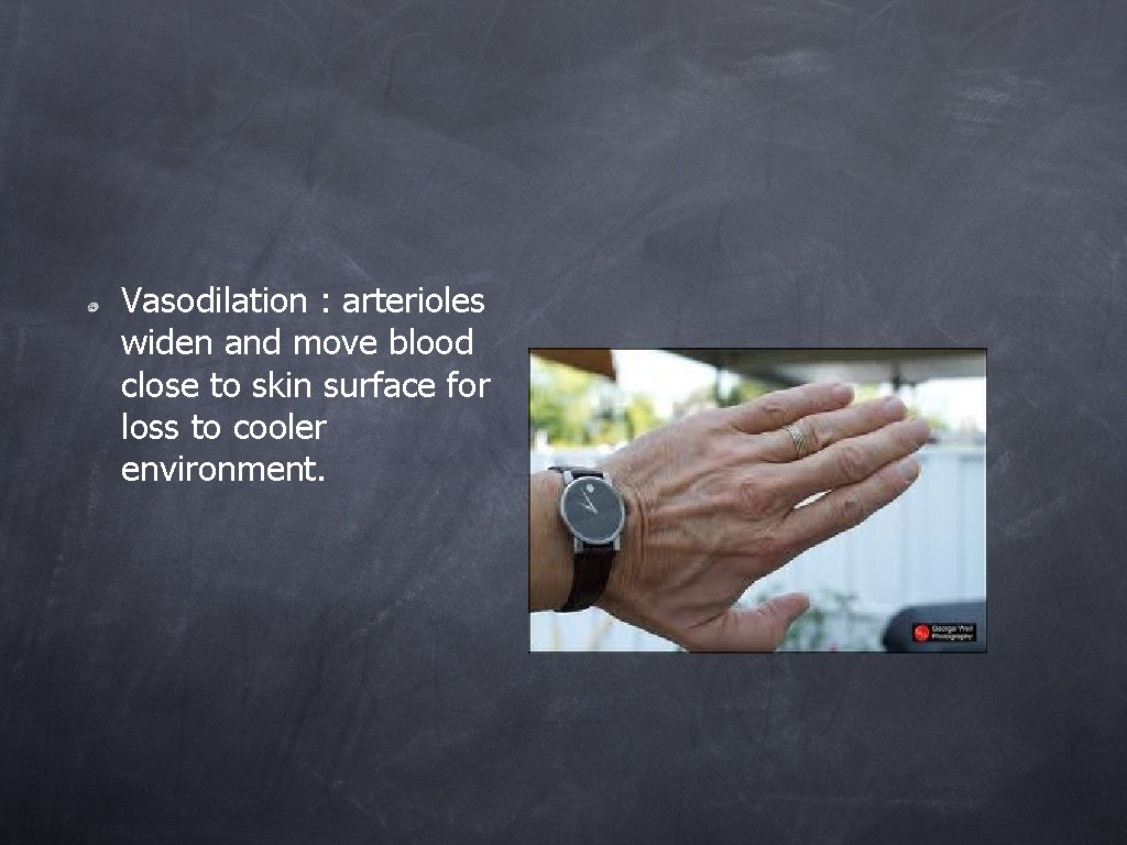 Vasodilation : arterioles widen and move blood close to skin surface for loss to