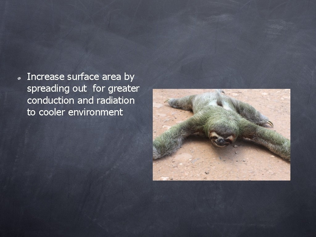 Increase surface area by spreading out for greater conduction and radiation to cooler environment