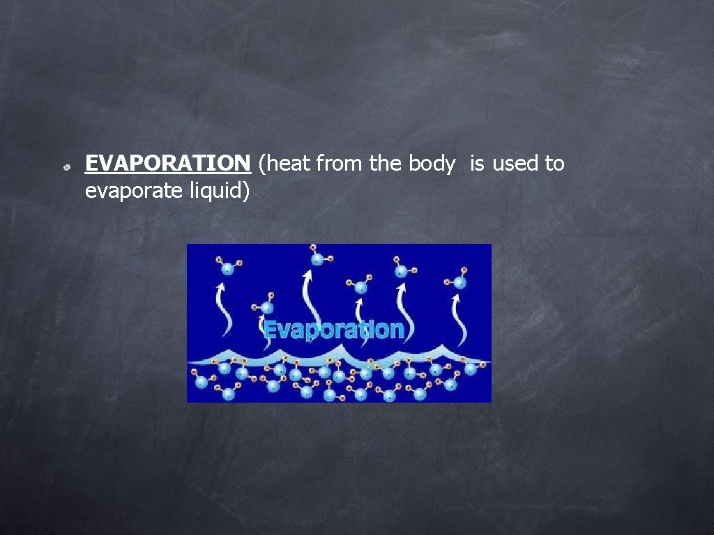 EVAPORATION (heat from the body is used to evaporate liquid) 