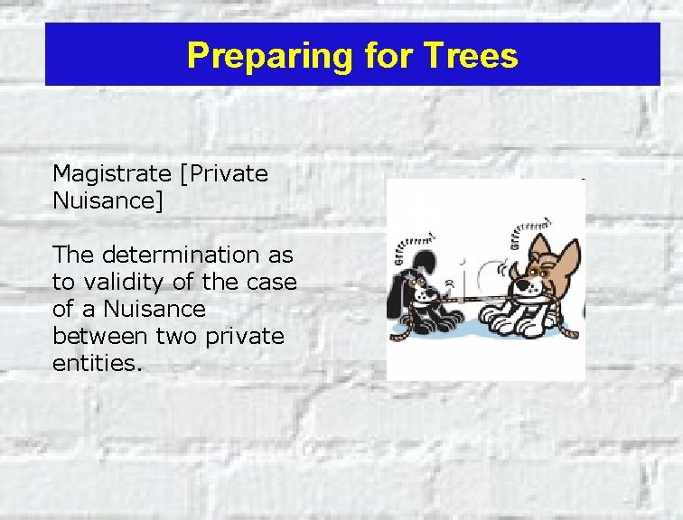 Preparing for Trees Magistrate [Private Nuisance] The determination as to validity of the case