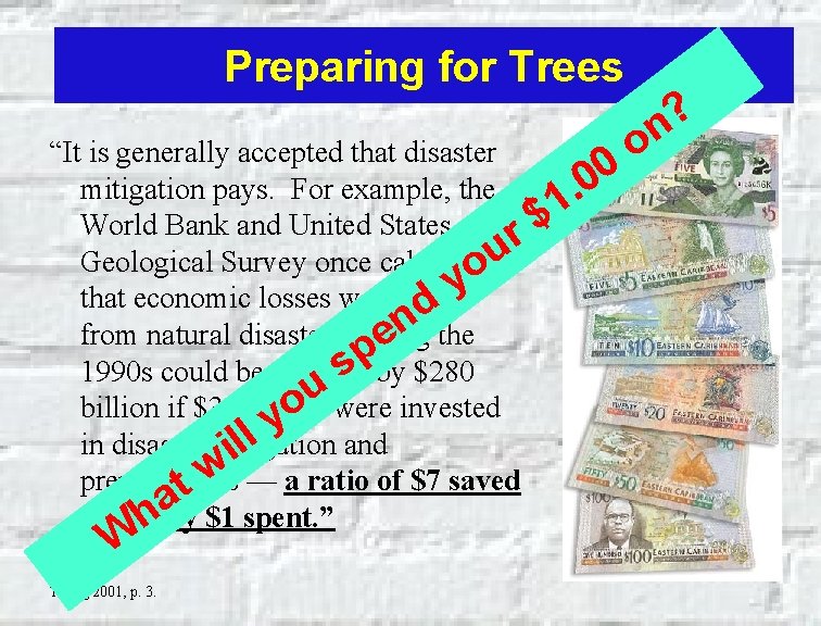 Preparing for Trees “It is generally accepted that disaster mitigation pays. For example, the