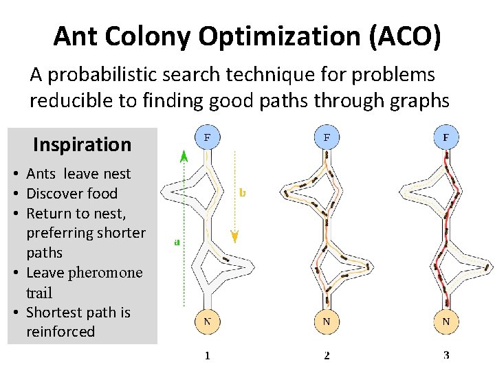 Ant Colony Optimization (ACO) A probabilistic search technique for problems reducible to finding good