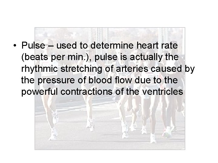  • Pulse – used to determine heart rate (beats per min. ), pulse