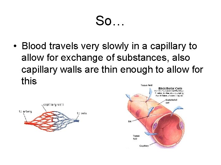 So… • Blood travels very slowly in a capillary to allow for exchange of