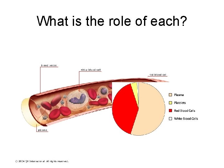 What is the role of each? 