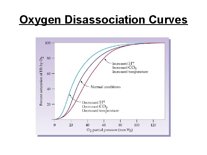 Oxygen Disassociation Curves 