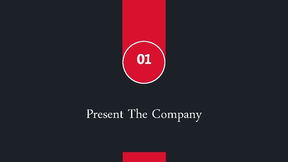 01 Present The Company 