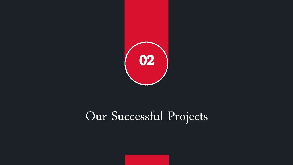 02 Our Successful Projects 