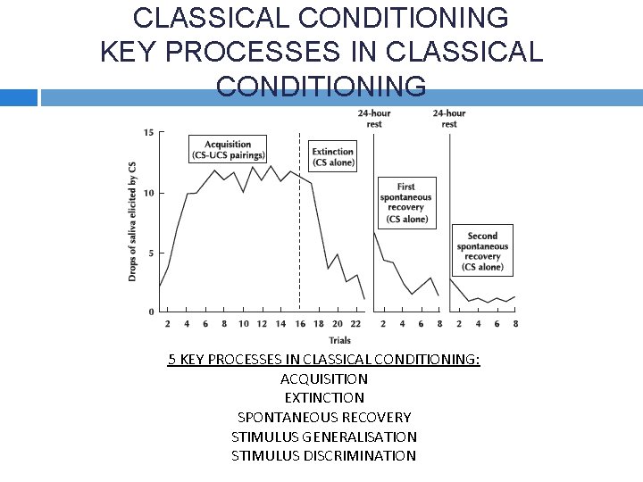CLASSICAL CONDITIONING KEY PROCESSES IN CLASSICAL CONDITIONING 5 KEY PROCESSES IN CLASSICAL CONDITIONING: ACQUISITION