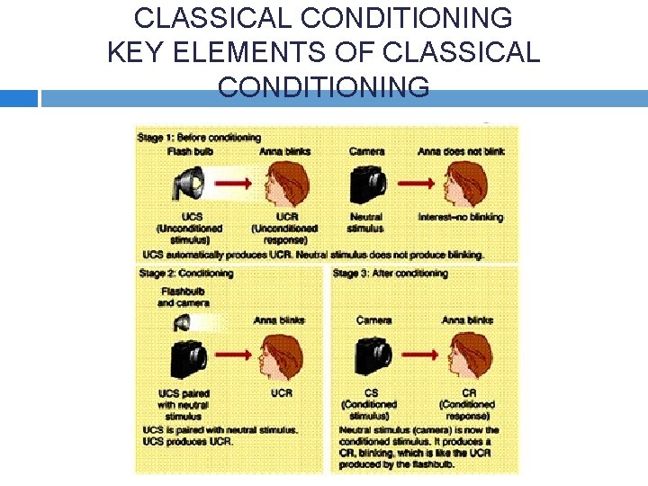 CLASSICAL CONDITIONING KEY ELEMENTS OF CLASSICAL CONDITIONING 