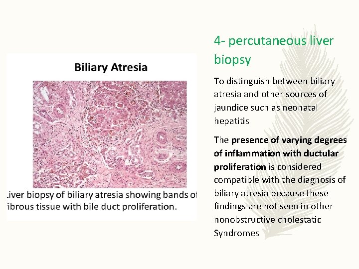 4 - percutaneous liver biopsy To distinguish between biliary atresia and other sources of