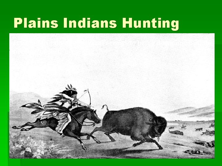 Plains Indians Hunting It would usually take several arrows to bring down one buffalo